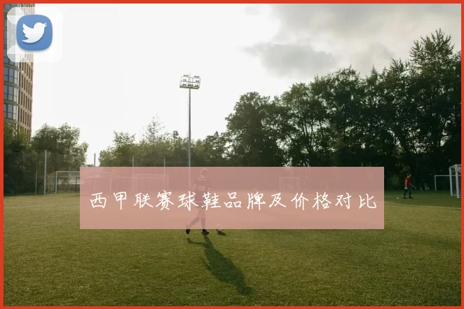 西甲联赛球鞋品牌及价格对比