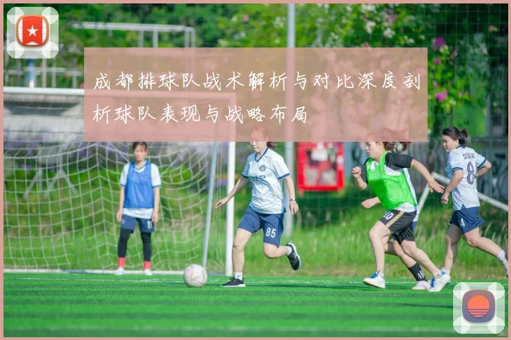 成都排球队战术解析与对比深度剖析球队表现与战略布局