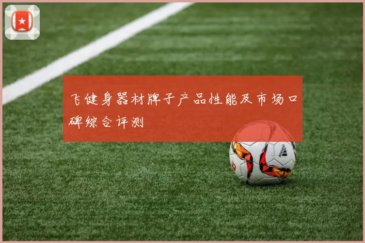 飞健身器材牌子产品性能及市场口碑综合评测