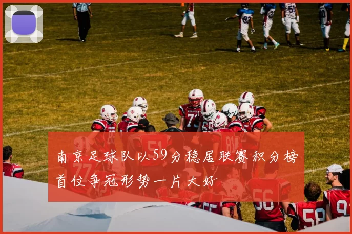 南京足球队以59分稳居联赛积分榜首位争冠形势一片大好