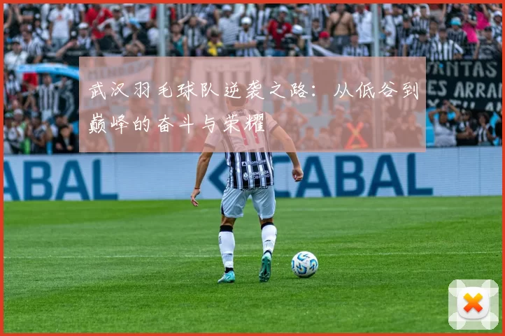 武汉羽毛球队逆袭之路：从低谷到巅峰的奋斗与荣耀