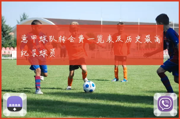 意甲球队转会费一览表及历史最高纪录球员