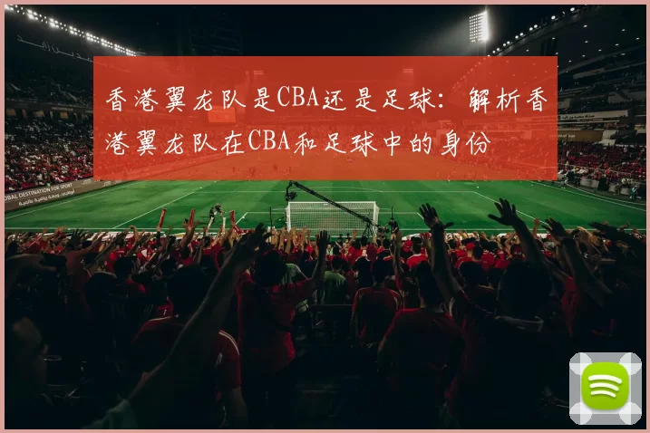 香港翼龙队是CBA还是足球：解析香港翼龙队在CBA和足球中的身份