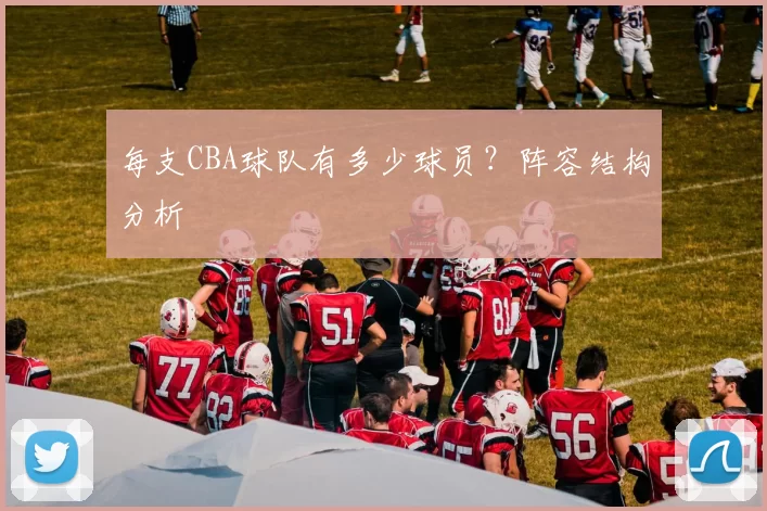 每支CBA球队有多少球员？阵容结构分析
