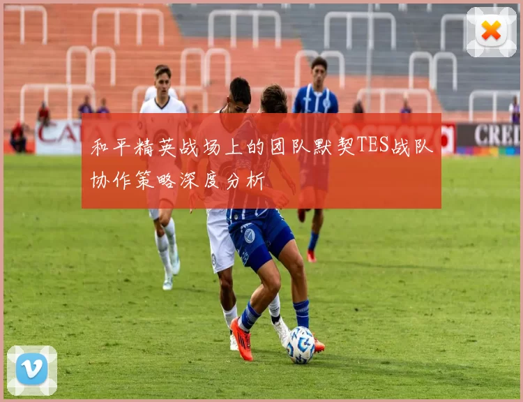 和平精英战场上的团队默契TES战队协作策略深度分析