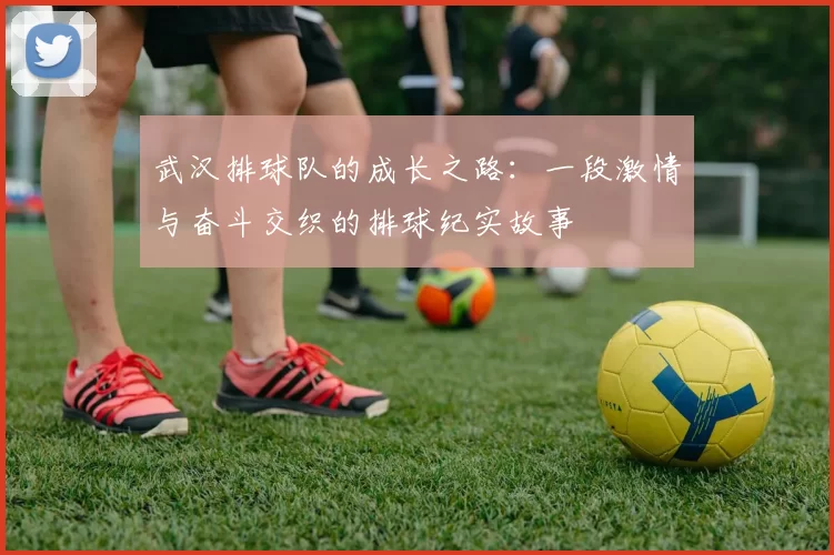 武汉排球队的成长之路：一段激情与奋斗交织的排球纪实故事