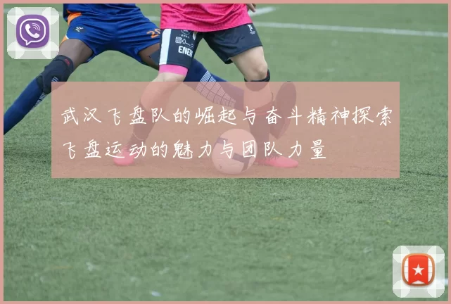 武汉飞盘队的崛起与奋斗精神探索飞盘运动的魅力与团队力量