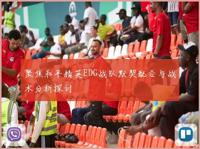 聚焦和平精英EDG战队默契配合与战术分析探讨