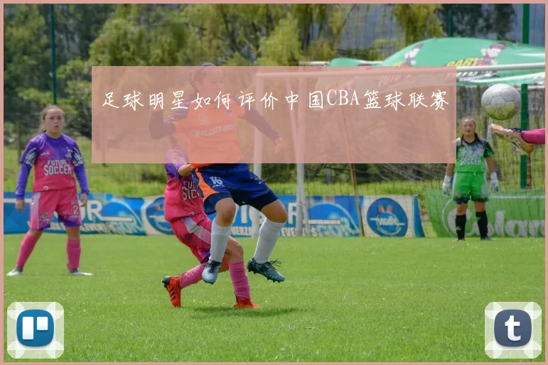 足球明星如何评价中国CBA篮球联赛