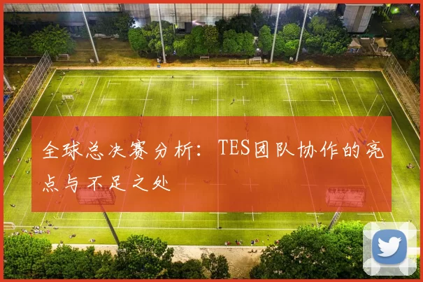 全球总决赛分析：TES团队协作的亮点与不足之处
