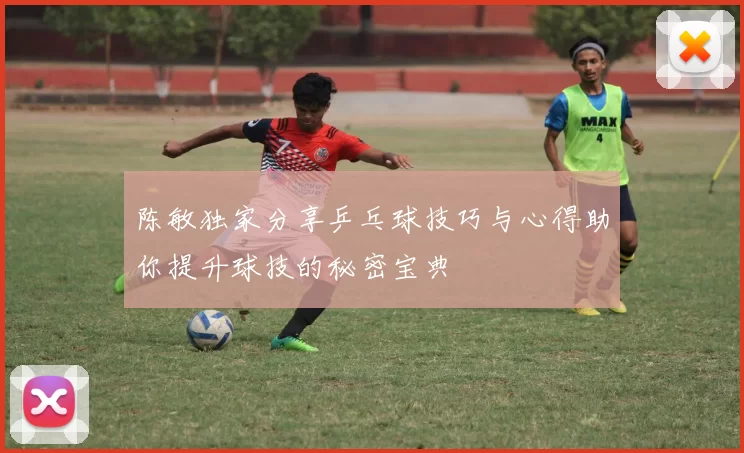 陈敏独家分享乒乓球技巧与心得助你提升球技的秘密宝典