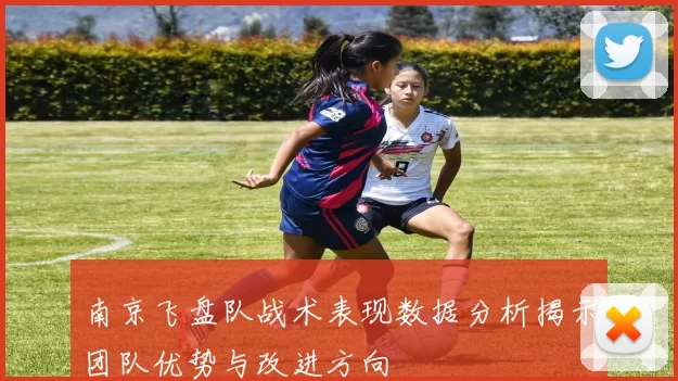 南京飞盘队战术表现数据分析揭示团队优势与改进方向