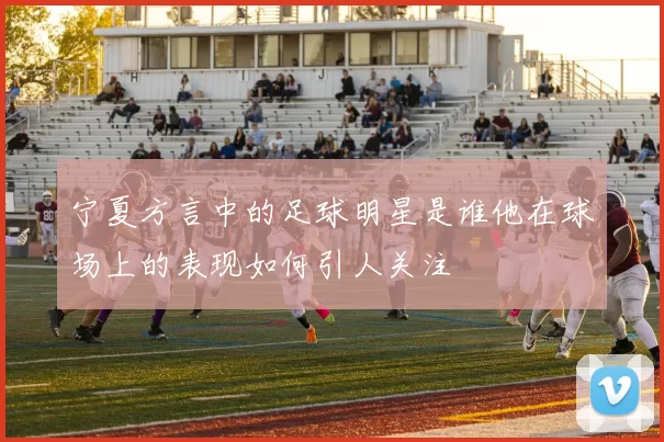 宁夏方言中的足球明星是谁他在球场上的表现如何引人关注