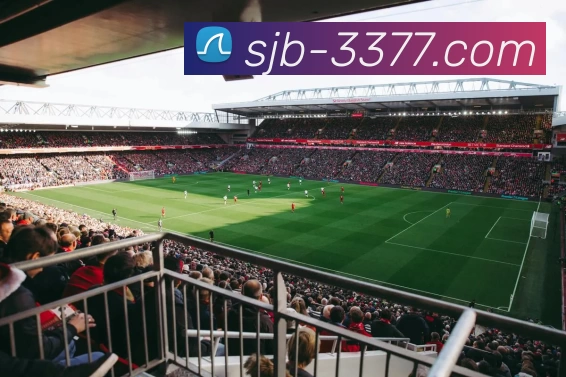 3377体育平台生态图