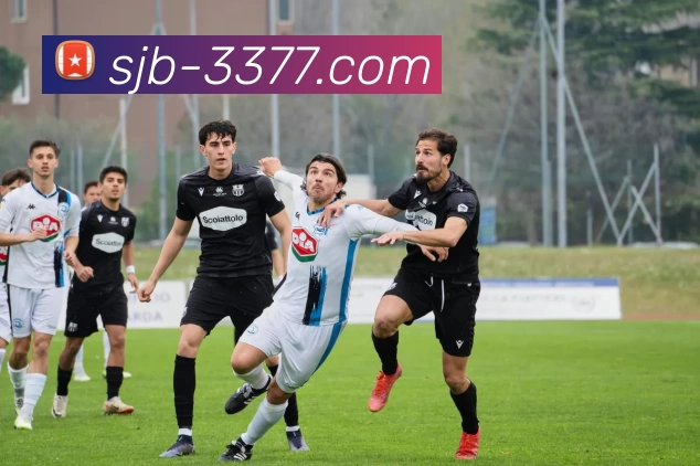 数据防护可视化